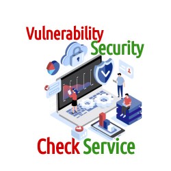 Vulnerability and Security Check Service