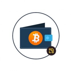 Modulo ThirtyBees  Bitcois (Criptovalute) Blockonomics